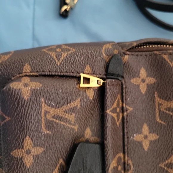 Louis Vuitton Palm SPRINGS Mini Brown Monogram Backpack - Picture 6 of 15